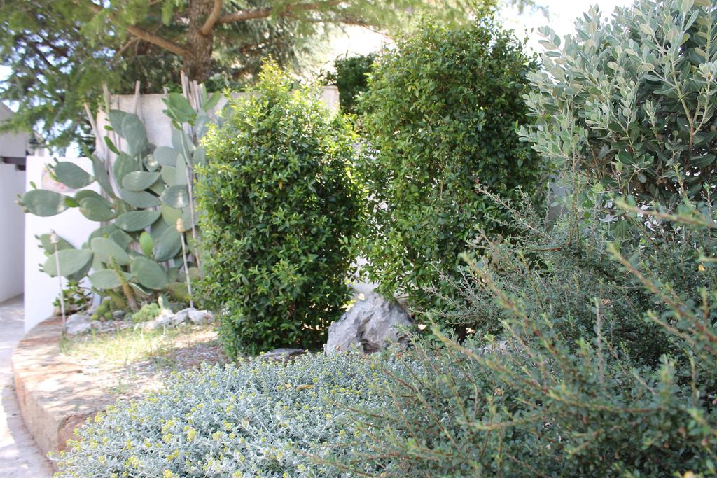 Albachiara Bed & Breakfast Monopoli Zewnętrze zdjęcie