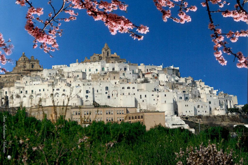 Albachiara Bed & Breakfast Monopoli Zewnętrze zdjęcie
