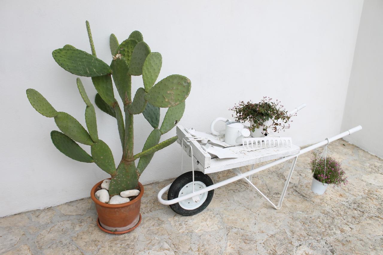 Albachiara Bed & Breakfast Monopoli Zewnętrze zdjęcie